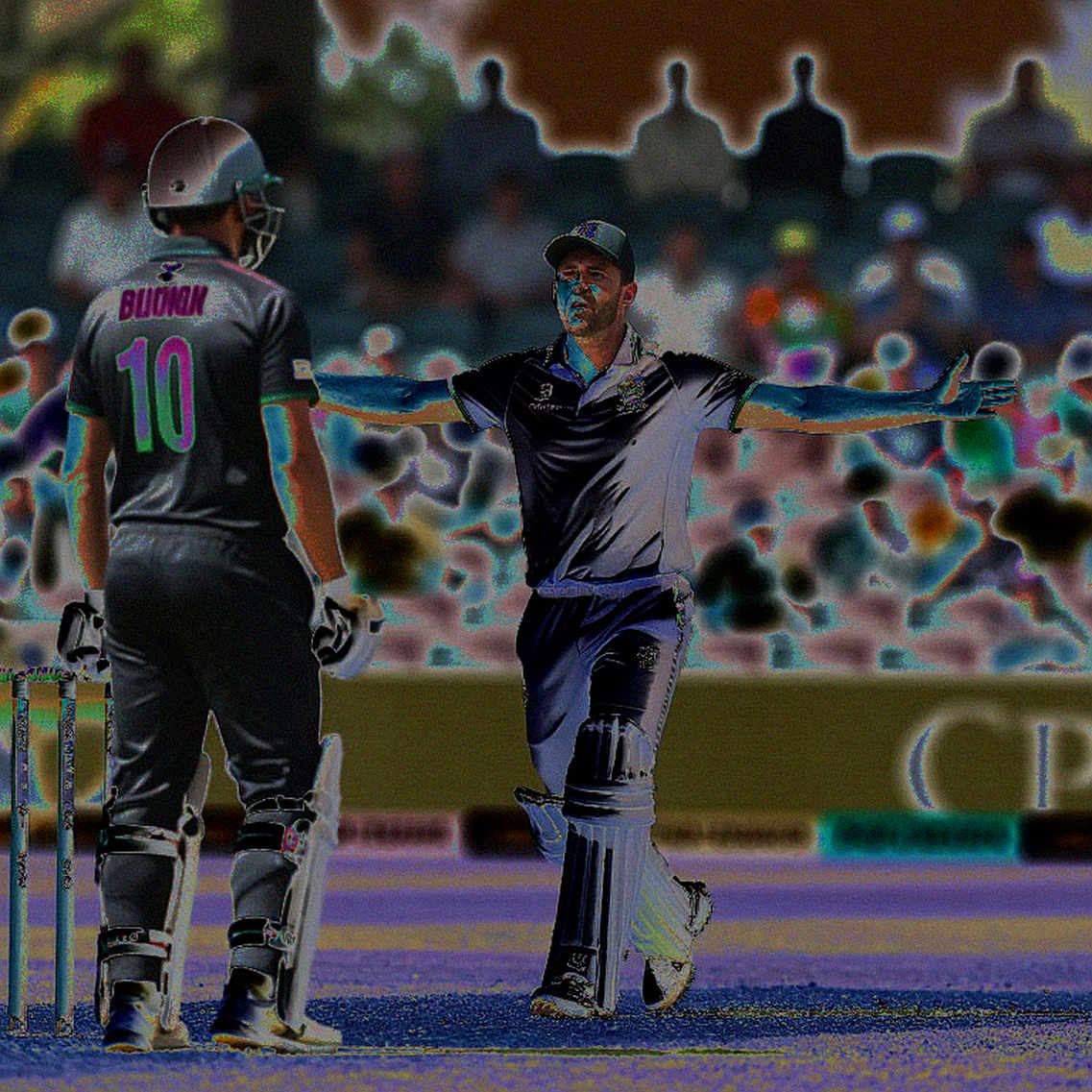 শূন্য ফলাফলও একটি ফলাফল: ক্রিকেট বিশ্লেষণে খালি ডেটার বাজারমূল্য