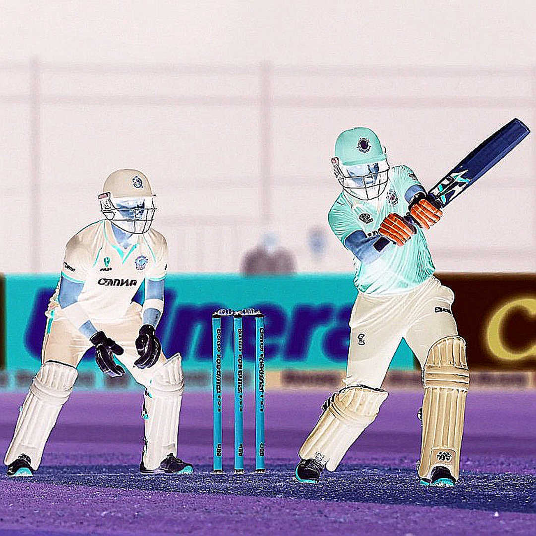 The Empty Scorebook: On the Integrity of Cricket Data The Empty Scorebook: On the Integrity of Cricket Data